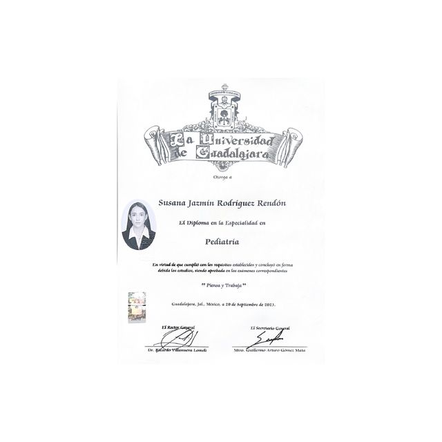 Ampliar imagen: certificate 3