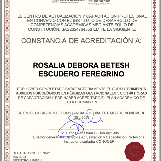 Ampliar imagen: certificate 7