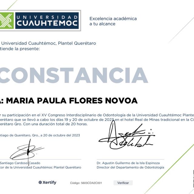 Ampliar imagen: certificate 1