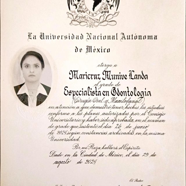 Ampliar imagen: certificate 2