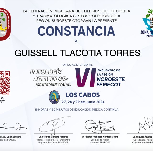 Ampliar imagen: certificate 5
