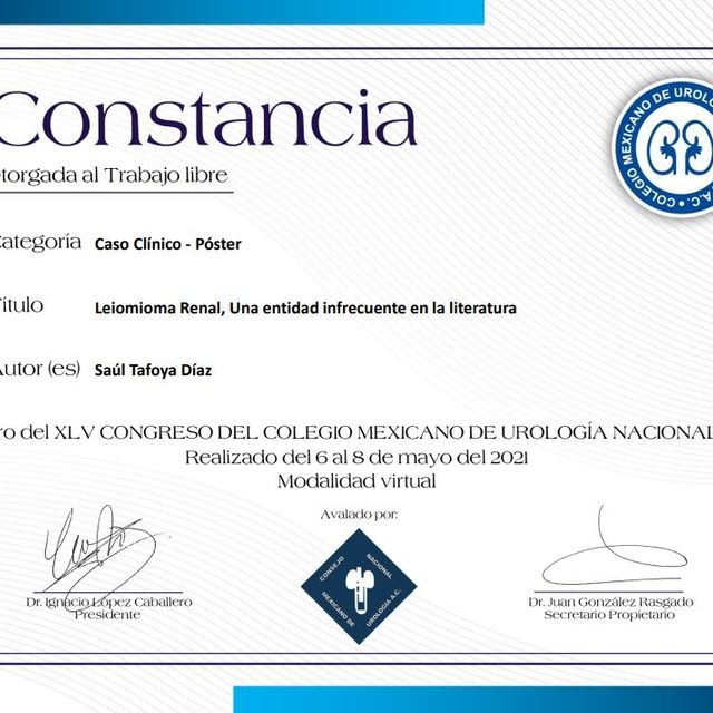 Ampliar imagen: certificate 9