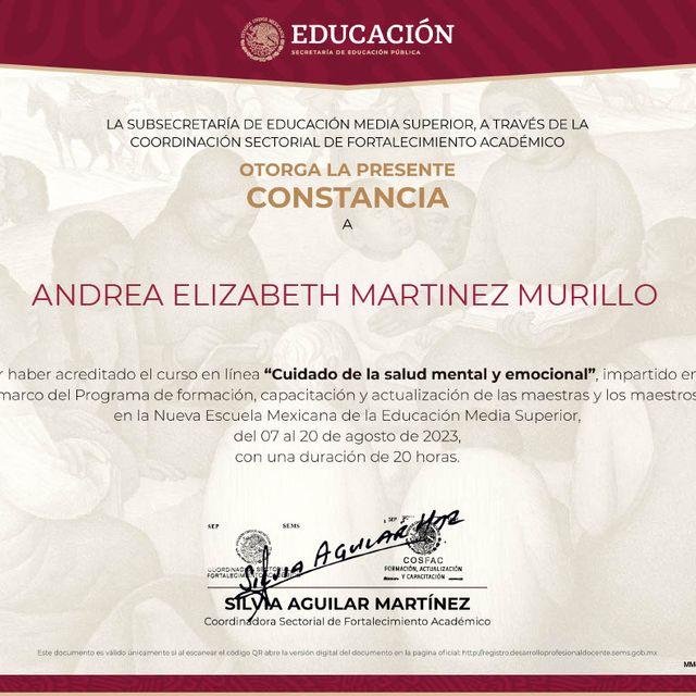 Ampliar imagen: certificate 21