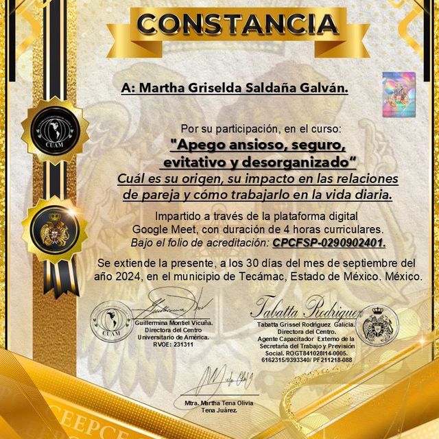 Ampliar imagen: certificate 7