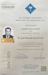 Ampliar imagen: certificate 2