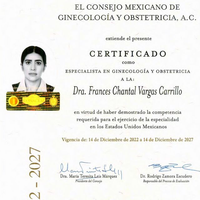 Ampliar imagen: certificate 2