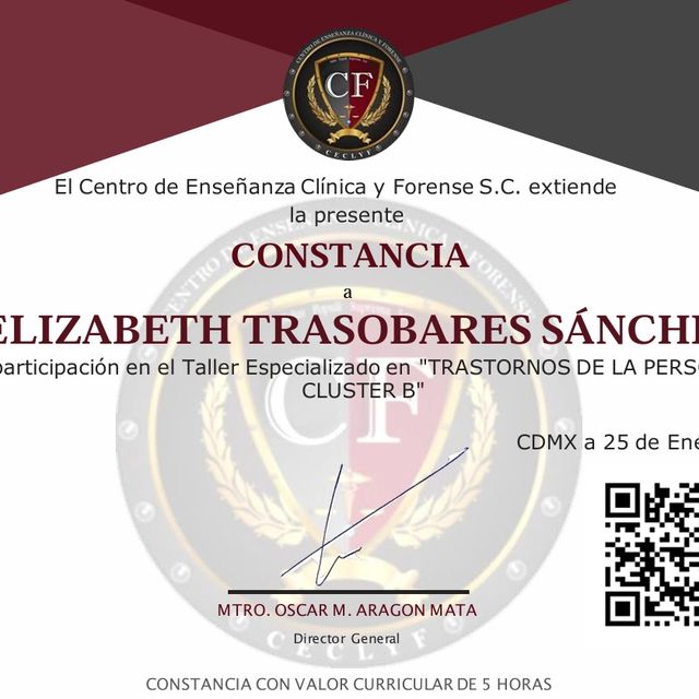 Ampliar imagen: certificate 6
