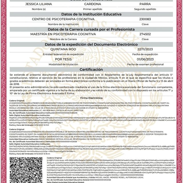 Ampliar imagen: certificate 5