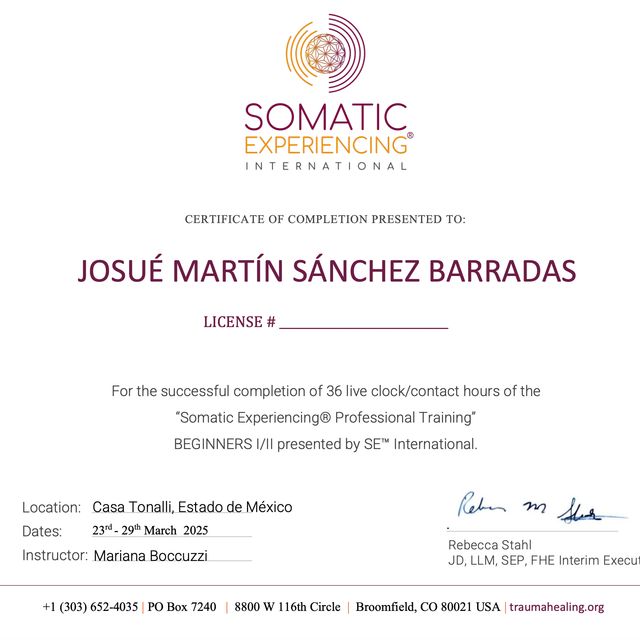 Ampliar imagen: certificate 5
