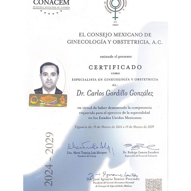 Ampliar imagen: certificate 4