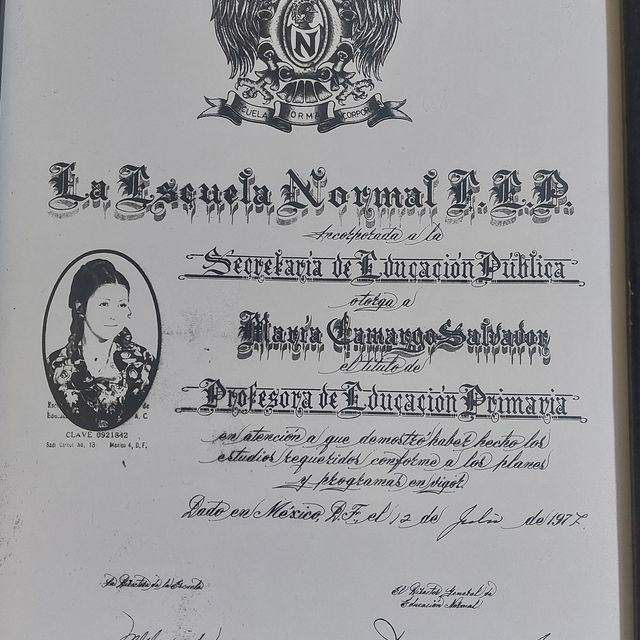 Ampliar imagen: certificate 30