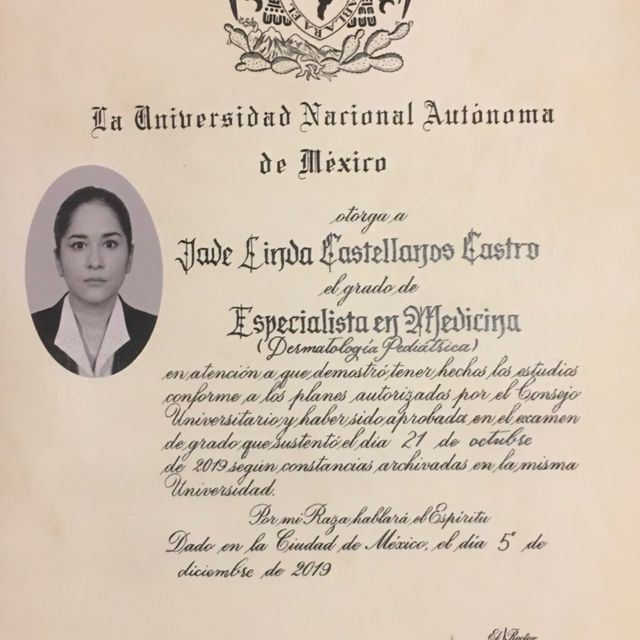 Ampliar imagen: certificate 2