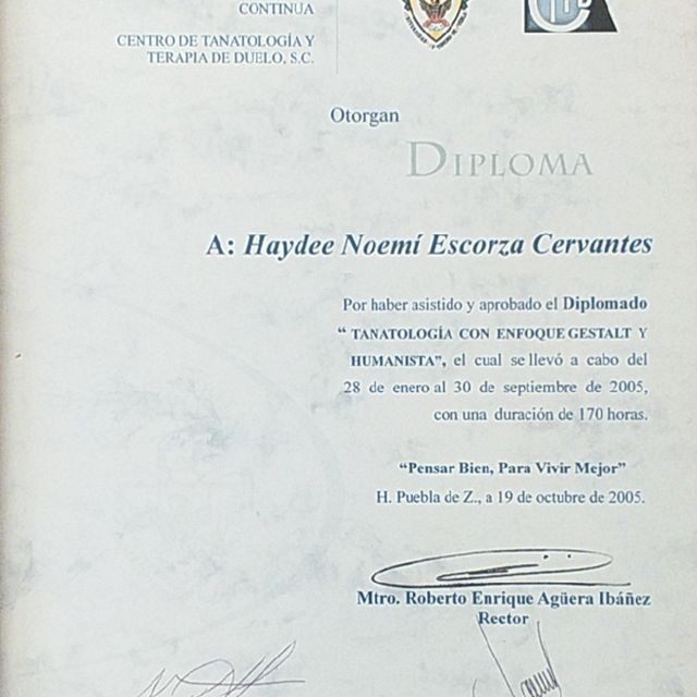 Ampliar imagen: certificate 4