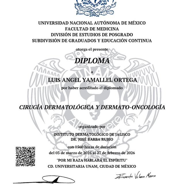 Ampliar imagen: certificate 2