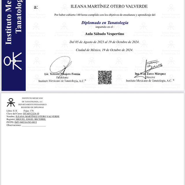 Ampliar imagen: certificate 4