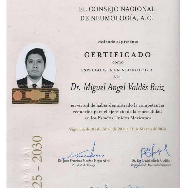 Ampliar imagen: certificate 1