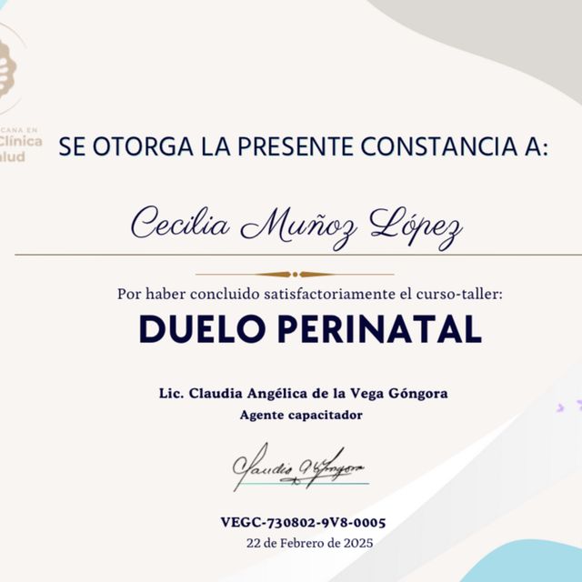 Ampliar imagen: certificate 2