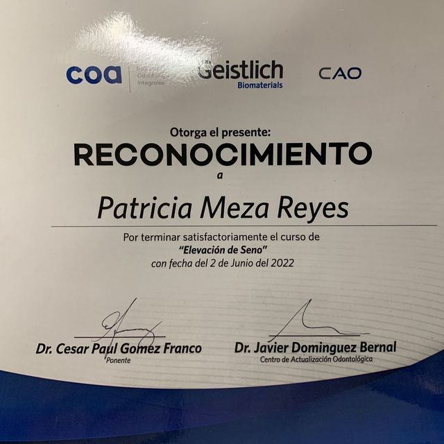 Ampliar imagen: certificate 5