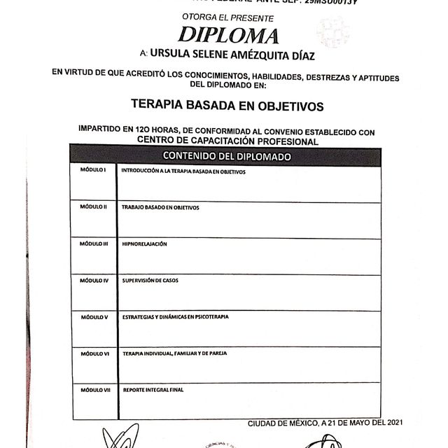 Ampliar imagen: certificate 5