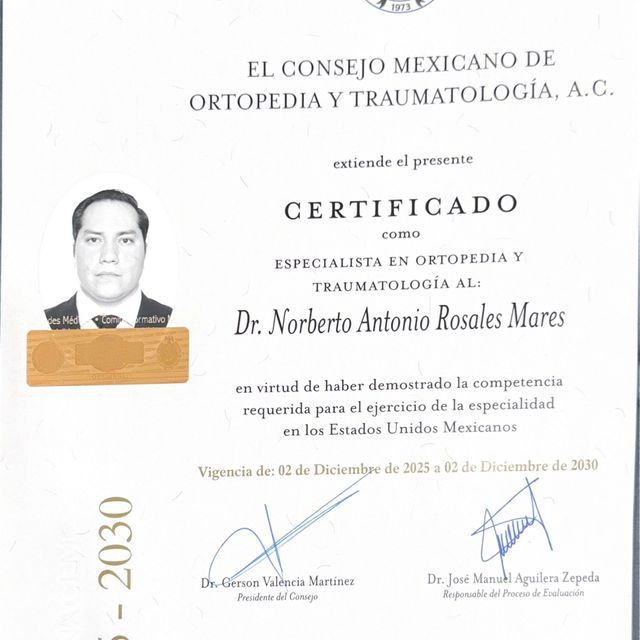 Ampliar imagen: certificate 1