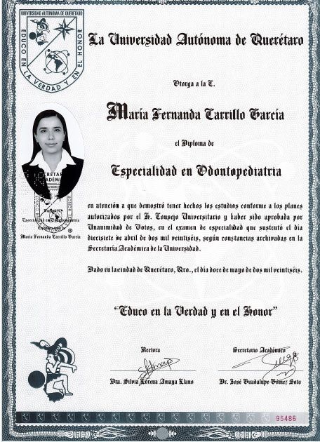 Ampliar imagen: certificate 5