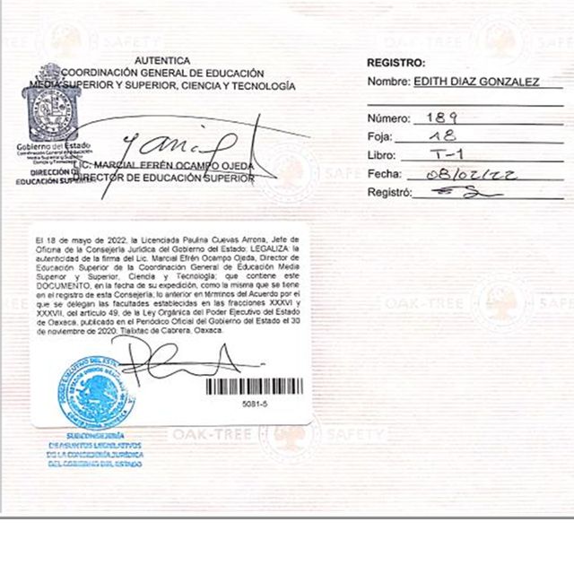 Ampliar imagen: certificate 5