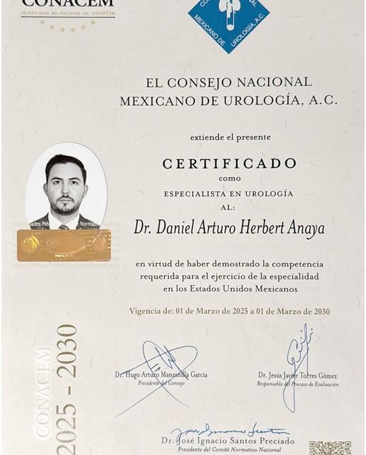 Ampliar imagen: certificate 2
