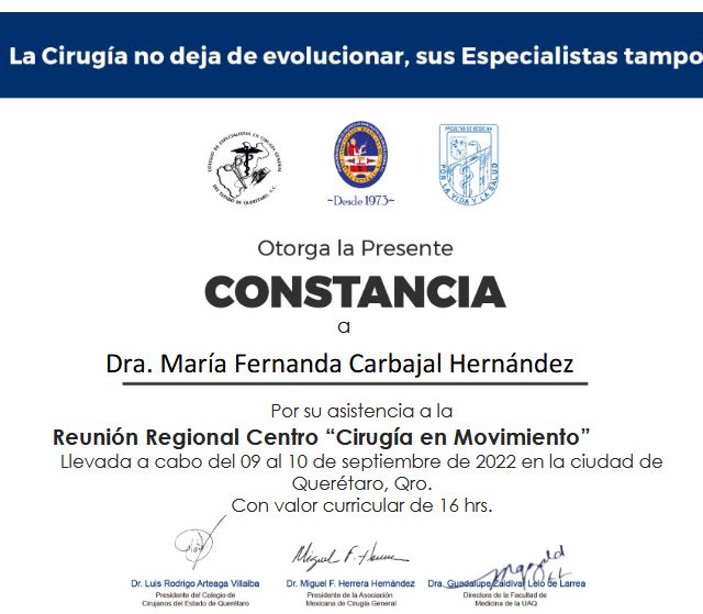 Ampliar imagen: certificate 10
