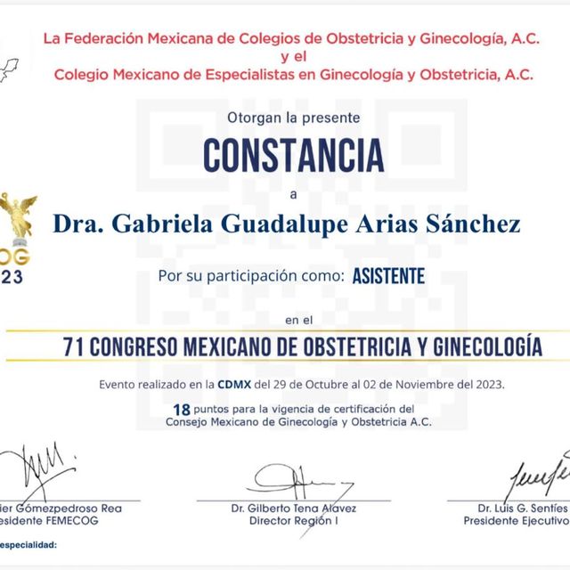 Ampliar imagen: certificate 6