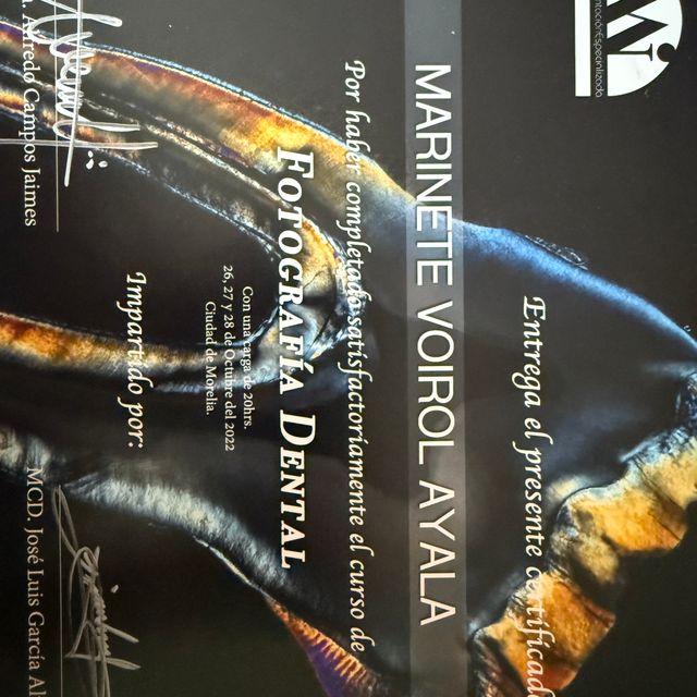 Ampliar imagen: certificate 10