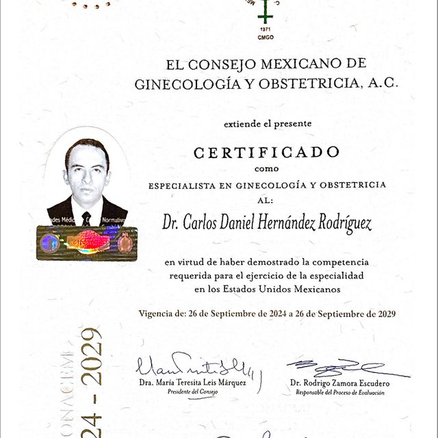 Ampliar imagen: certificate 2