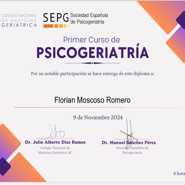 Ampliar imagen: certificate 28