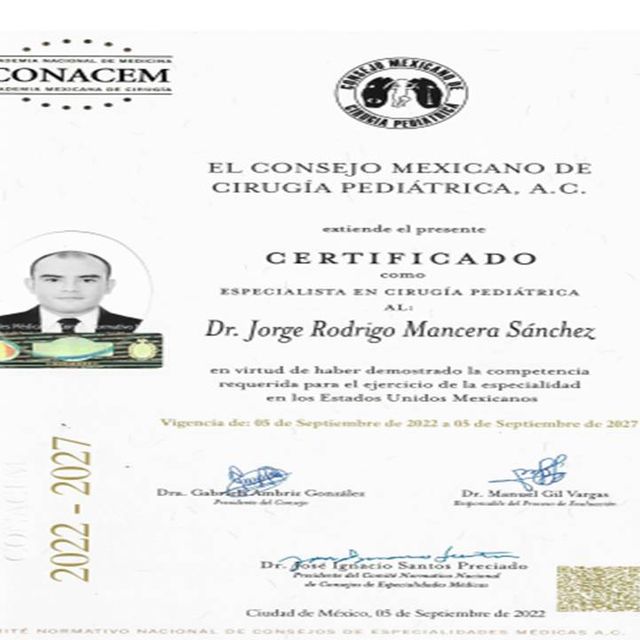 Ampliar imagen: certificate 2