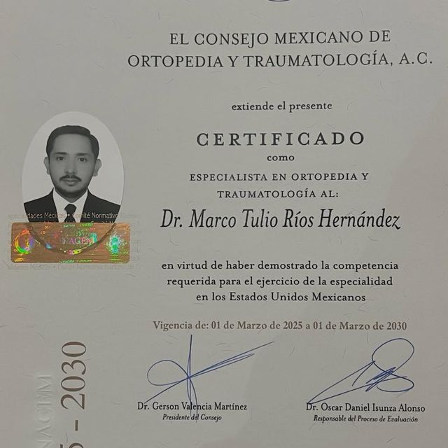 Ampliar imagen: certificate 1