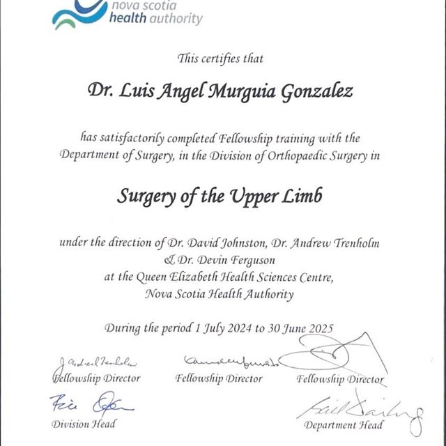 Ampliar imagen: certificate 5