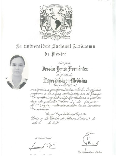 Ampliar imagen: certificate 4