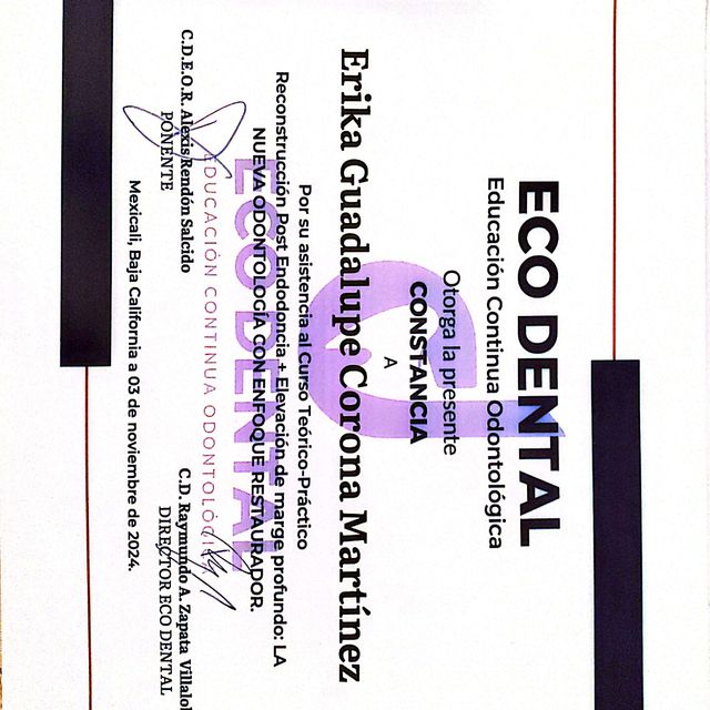 Ampliar imagen: certificate 5
