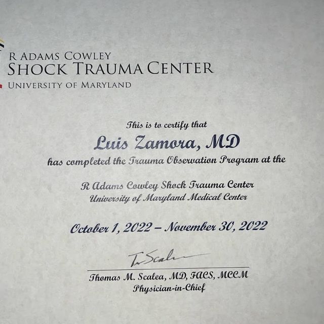 Ampliar imagen: certificate 2