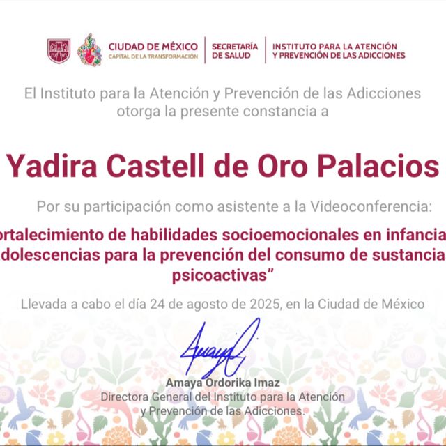 Ampliar imagen: certificate 3