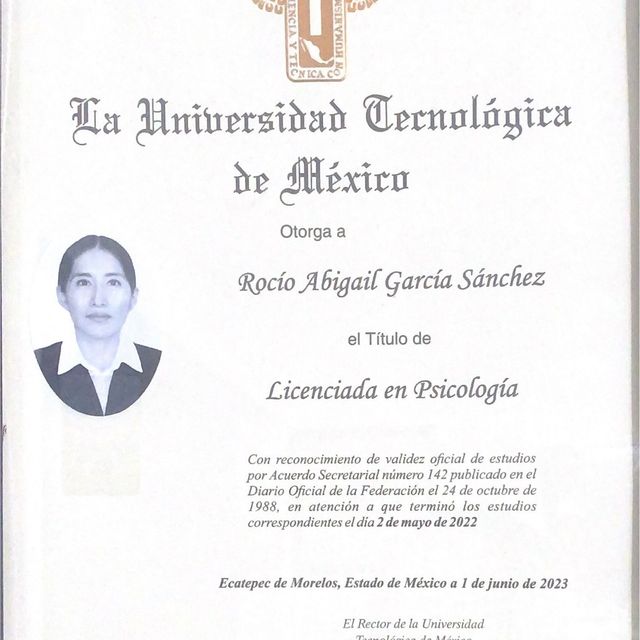 Ampliar imagen: certificate 2