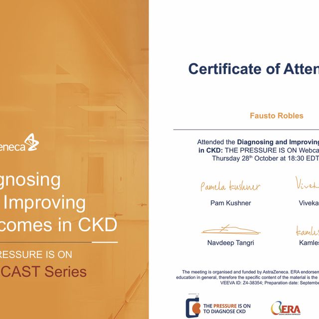 Ampliar imagen: certificate 15