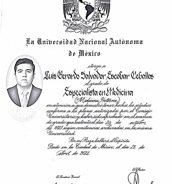 Ampliar imagen: certificate 3