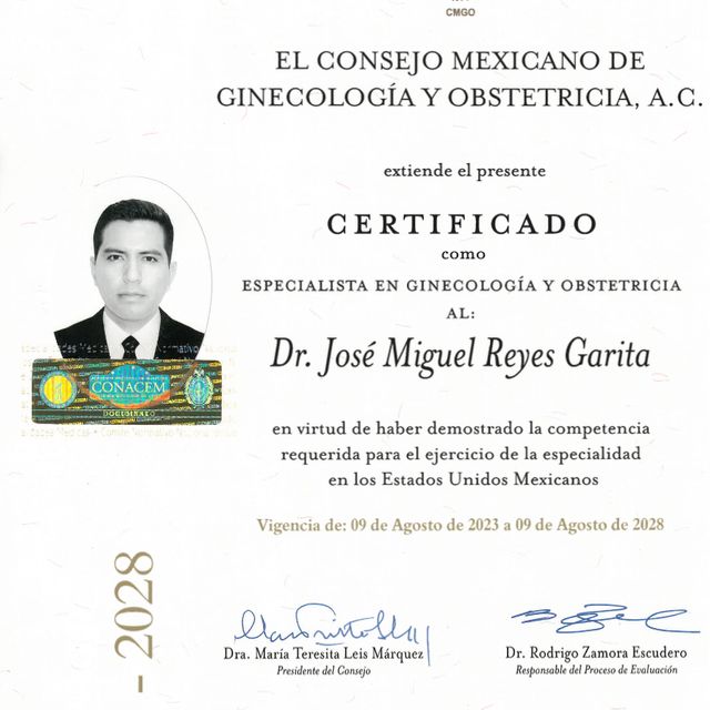 Ampliar imagen: certificate 1