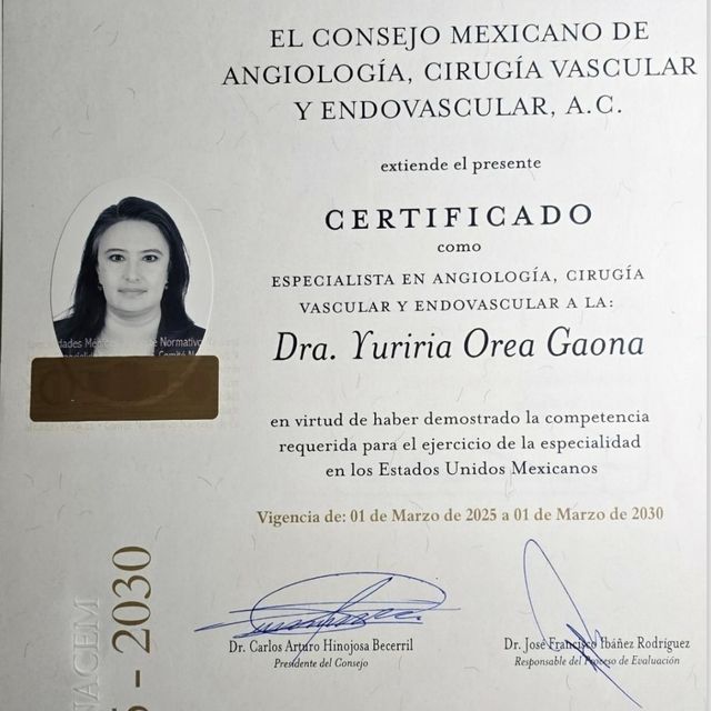 Ampliar imagen: certificate 1