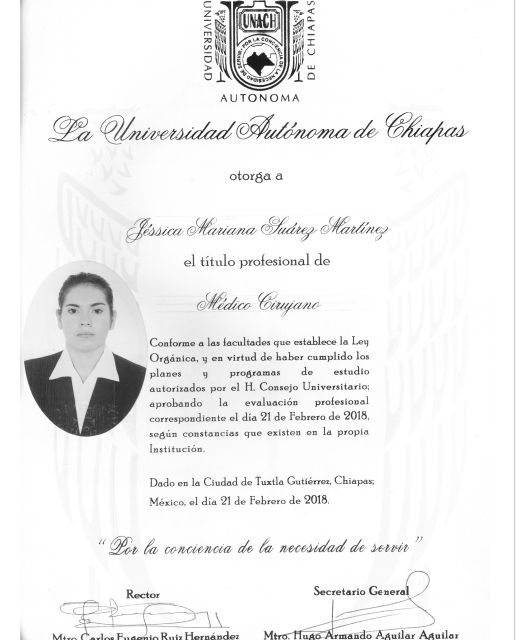 Ampliar imagen: certificate 3