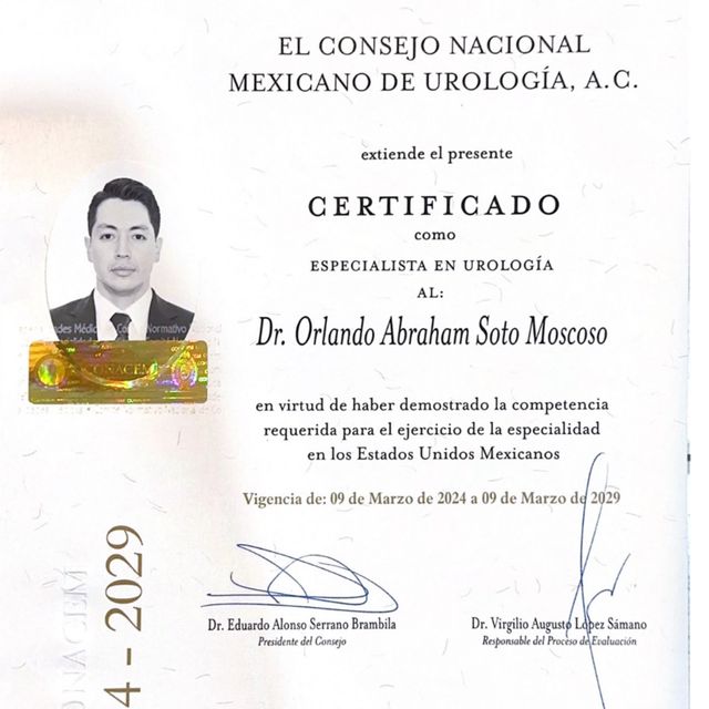 Ampliar imagen: certificate 4