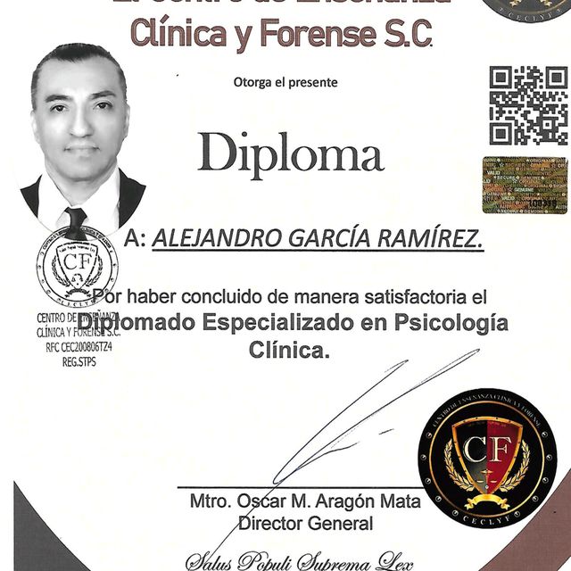 Ampliar imagen: certificate 1