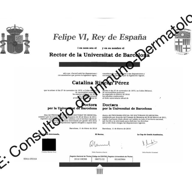 Ampliar imagen: certificate 5