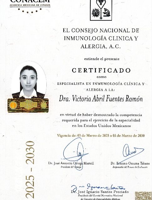 Ampliar imagen: certificate 3