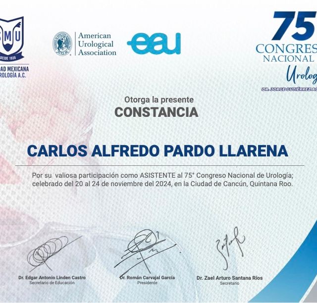 Ampliar imagen: certificate 5